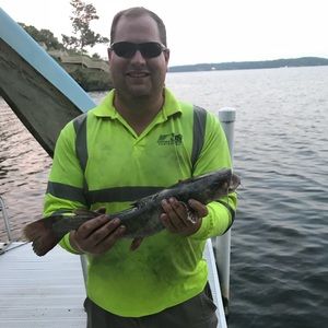 Meet your Posher, Brad